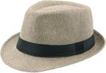CLOTHERA Fashion Fedora Hat for Mens